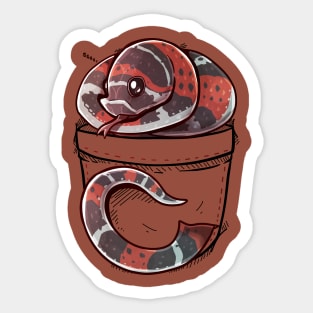 Pocket Cute Tricolour Hognose Snake Sticker